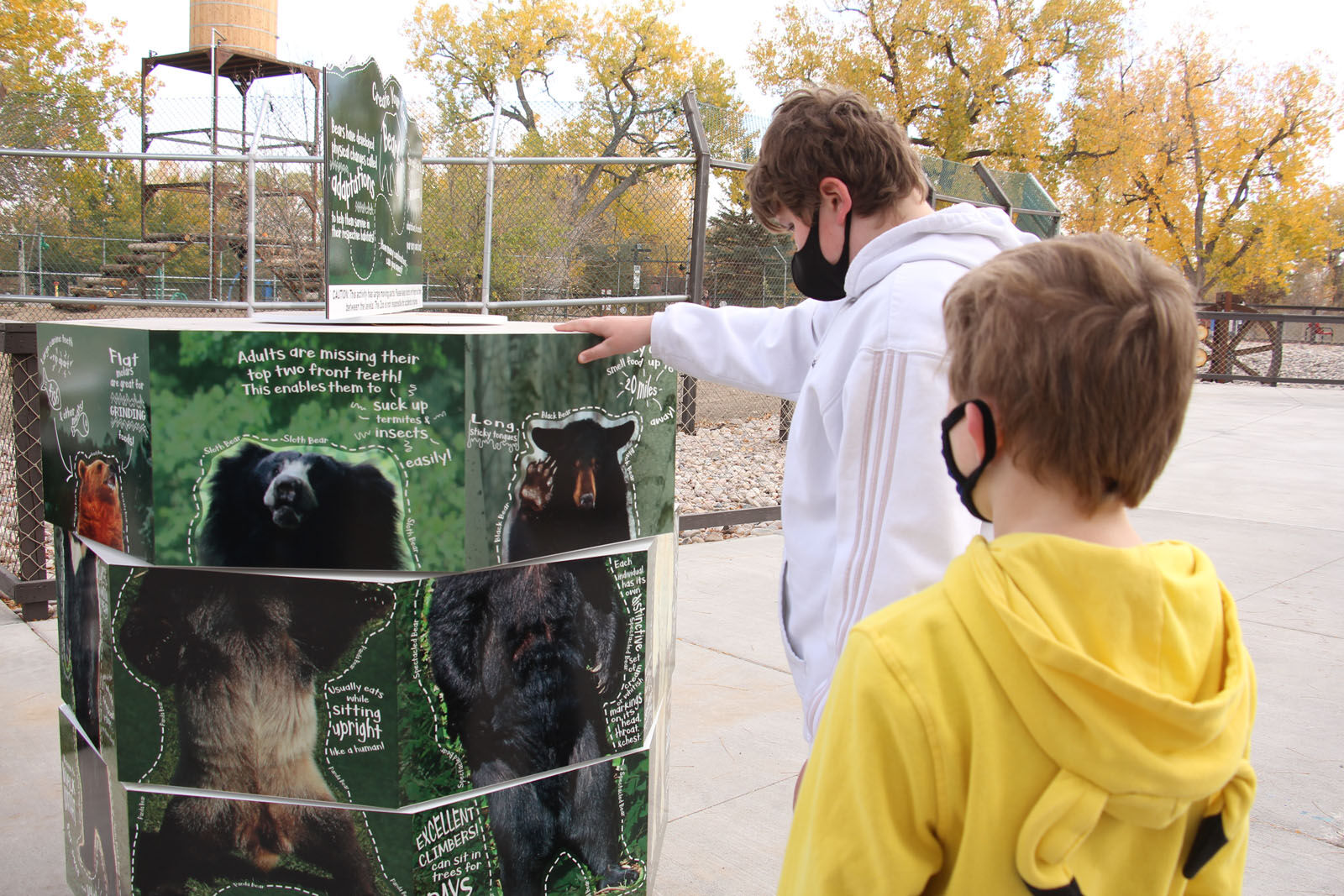 IMG_0309RDC Bear Exhibit.jpg